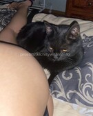 Анкета проститутки Юля - метро Беговой, возраст - 23